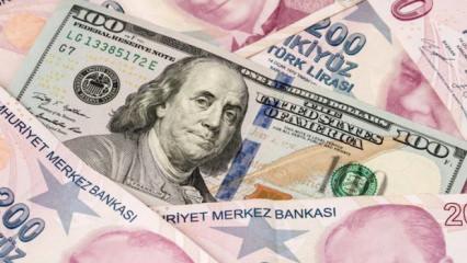 TL'nin reel değeri eyl&uuml;lde y&uuml;kseldi