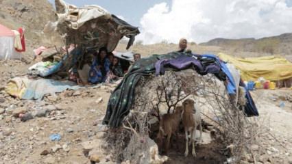 Yemen&rsquo;de &ccedil;atışmalar şiddetlendi: İnsani kriz b&uuml;y&uuml;yor