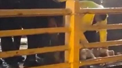 Yalova'da sağanak! Yağmurun durması i&ccedil;in kurban kestiler