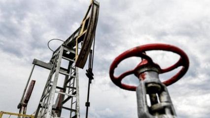 AB liderleri y&uuml;ksek enerji fiyatlarına karşı acil &ouml;nlem istiyor
