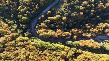 Bolu&rsquo;da g&uuml;z zamanı: G&ouml;lc&uuml;k Tabiat Parkı yolu sarı ve kahverengine boyandı