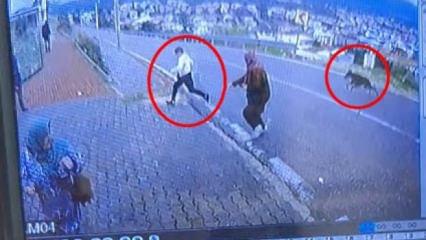 Bursa'da k&ouml;pekten ka&ccedil;arken d&uuml;şen &ccedil;ocuğun bacağı kırıldı