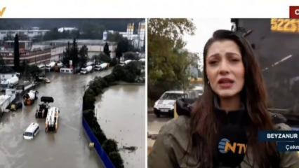 Canlı yayında korku dolu anlar: İETT otob&uuml;s&uuml;n&uuml;n aynası muhabire &ccedil;arptı