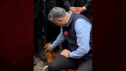 İ&ccedil;işleri Bakanı Mustafa &Ccedil;ift&ccedil;i&rsquo;den sel b&ouml;lgesinde y&uuml;rek ısıtan kare: Her can bize emanet