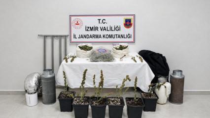 İzmir'de 5 kilo skunk ele ge&ccedil;irildi