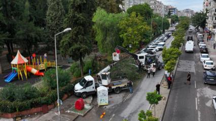 İzmir'de korkutan anlar: 4 otomobilin &uuml;zerine ağa&ccedil; d&uuml;şt&uuml;!