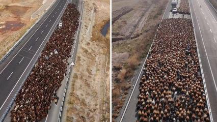 İki şeritli yolu kapattılar: Muazzam d&ouml;n&uuml;ş yolu g&ouml;r&uuml;nt&uuml;lendi!