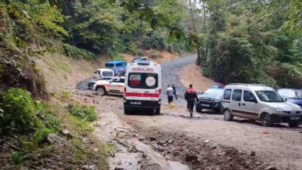 Kestane toplamak i&ccedil;in gitmişti: Acı haber geldi