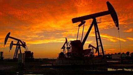 K&uuml;ba'dan tarihi petrol kararı