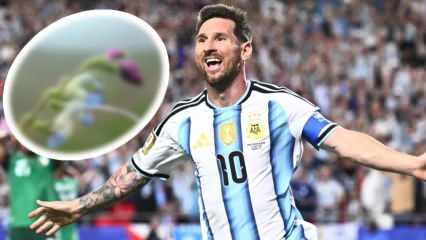 Messi&rsquo;nin ismi Peru&rsquo;da keşfedilen yeni bitki t&uuml;r&uuml;ne verildi