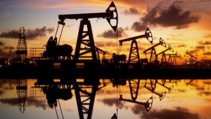 OPEC'ten dikkat &ccedil;eken revizyon! Petrol talebinde iki farklı beklenti!