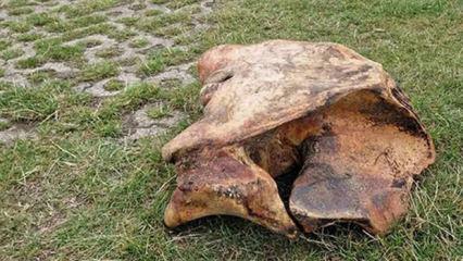 Tarlasını kazarken tesad&uuml;fen buldu