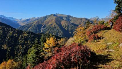 Rize&rsquo;nin &uuml;nl&uuml; yaylaları sonbahar ile renklendi, doğa tutkunları manzaraya doyamadı