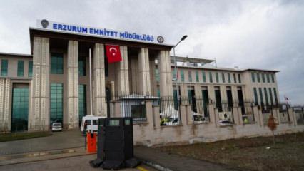 Sokak hayvanları talimatıyla ilgili inceleme başlatıldı