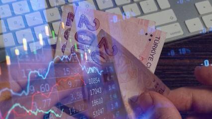 Yatırım fonlarında g&ouml;zden ka&ccedil;an risk! Uzman isim uyardı! 