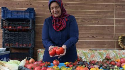 11 yıldır &uuml;cretsiz dağıtıyor! Bir pakette 55 &ccedil;eşit ata tohumu