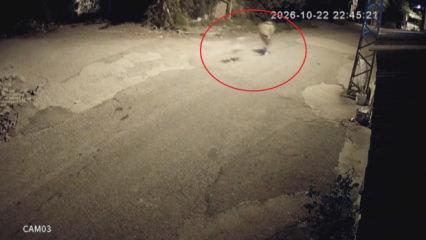 Motosikletle gelip k&ouml;peği &ccedil;alan hırsızlara sitem: "K&ouml;pek &ccedil;almak nedir"