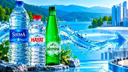 Sırma, Hayat, Akmina... &Uuml;&ccedil; &uuml;nl&uuml; marka da satıldı! İşte yeni alıcısı