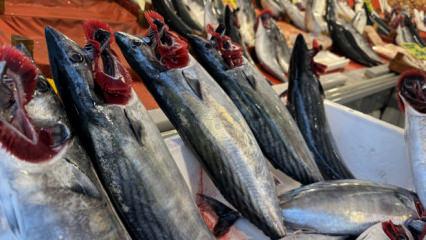 Tarihi bolluğa herkes şaşıp kalıyor! 40 liraya kadar d&uuml;şt&uuml;!