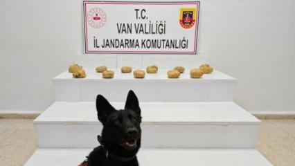 Van'da zehir tacirlerine dev darbe! 11 kilo 958 gram toz esrar ele ge&ccedil;irildi