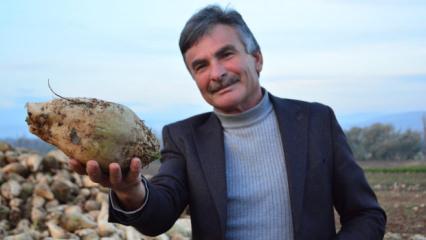 &Ccedil;orumlu &ccedil;ift&ccedil;iden sert &ccedil;ıkış! Kazanmıyorum diyenler k&uuml;lliyen yalan s&ouml;yl&uuml;yor
