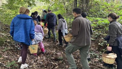 Belgrad Ormanı&rsquo;nın derinliklerine akın başladı: &Ouml;nce sepetler, sonra karınlar doluyor