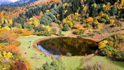 Rutav G&ouml;l&uuml; doğanın aynası oldu, Artvin&rsquo;de sonbahar renkleri g&ouml;renleri mest etti
