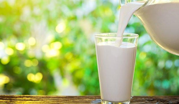 <p><strong>Süt;</strong> Bademcik iltihabında ılık süt oldukça etkili olmaktadır. İltihap ve yaralara iyi gelen süt boğaz şişmesinden korur. Daha etkili olmasını sağlamak için içerisine biraz karabiber ve bir tatlı kaşığı zerdeçal de ilave edebilirsiniz.</p>

<p> </p>
