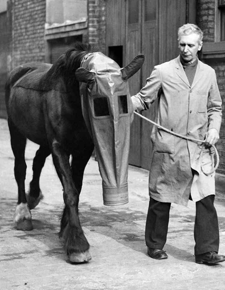 <p>İngiltere'de atların zehirli gaz saldırısına karşı korunması için kullanılan gaz maskesi, Londra, 1940</p>

<p> </p>
