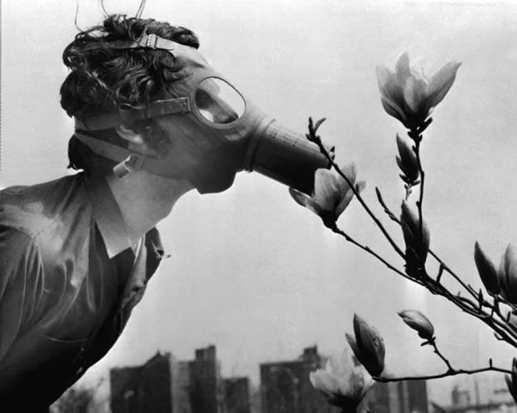 <p>ABD'de Dünya Günü nedeniyle düzenlenen gösteri sırasında çiçek koklayan gaz maskeli öğrenci, 1970</p>

<p> </p>
