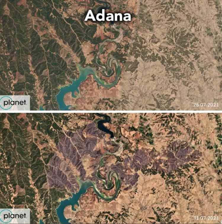 <p>Çevre örgütü Greenpeace, Türkiye'de temmuz sonunda başlayan ve yaklaşık iki hafta süren orman yangınlarının yol açtığı tahribatı ortaya koyan uydu görselleri paylaştı.</p>

<p> </p>
