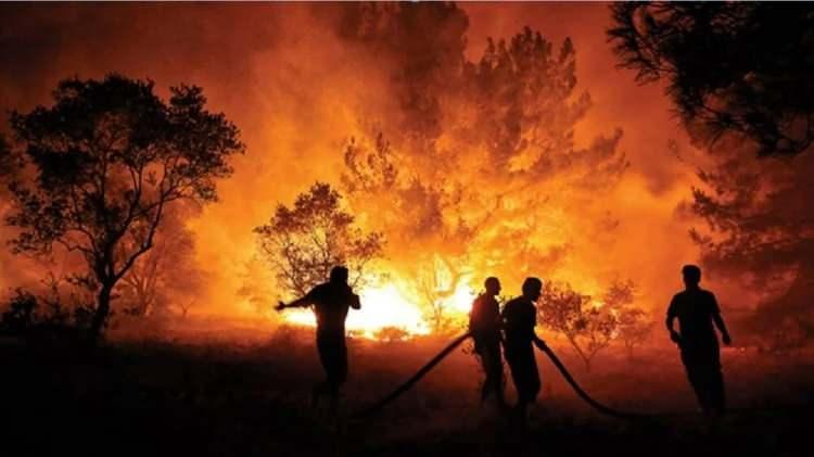 <p>Bütün Türkiye’deki orman yangınlarında yok olan alanın ise 178 bin hektar civarında olduğunu söyleyen Akgül, bunun da 1 milyar 780 milyon metrekareye tekabül ettiğini, popüler ölçüyle de bunun yaklaşık 250 bin futbol sahası olduğunu vurguladı. Bu rakamın yine EFFIS'in verilerine göre aynı dönem ve aynı bölgede 2008- 2020 arasında ortalama yanan alanın 8 katından da daha büyük olduğunu aktardı.</p>

<p> </p>
