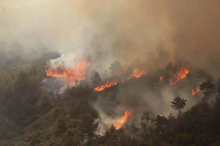 <p>Uzmanların uzun süredir Türkiye’deki ormanların karşı karşıya olduğu tehlikeye dikkat çektiğini de vurgulayan Akgül, ortalama sıcaklıklardaki artışların, havadaki nem oranının gitgide düşmesinin, sıklığı ve şiddeti artan sıcak hava dalgalarının, orman yangınları için "mükemmel koşulları" oluşturduğunu belirtti.. Akgül, "2021 yangınlarının bize gösterdiği üzere, en ufak bir tetikleyici, en ufak bir kıvılcım, önü alınamaz bir faciaya yol açabiliyor" diye konuştu.</p>

<p> </p>
