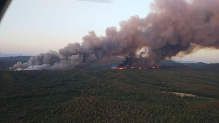 <p>Muğla'nın Marmaris ilçesinde ormanlık alanda çıkan yangına havadan ve karadan müdahale ediliyor.</p>
