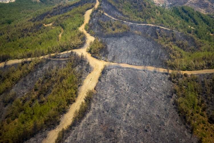 <p>Orman yangını nedeniyle zarar gören alanlar havadan görüntülendi.</p>
