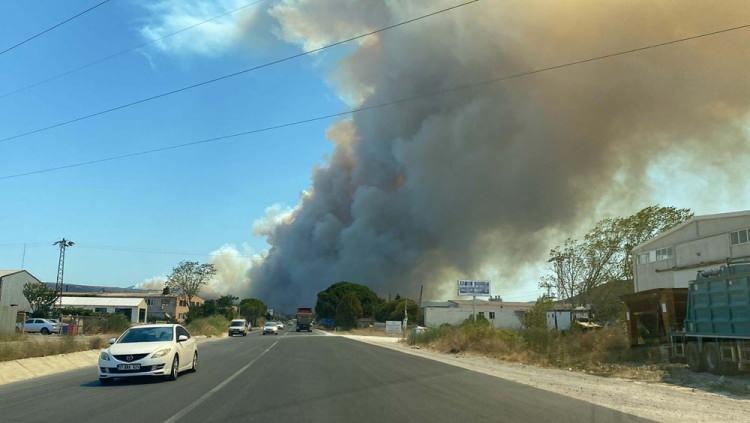 <p>Bazı hayvanların yangından etkilendiği bölgede, Kayadere köyünden <a href=