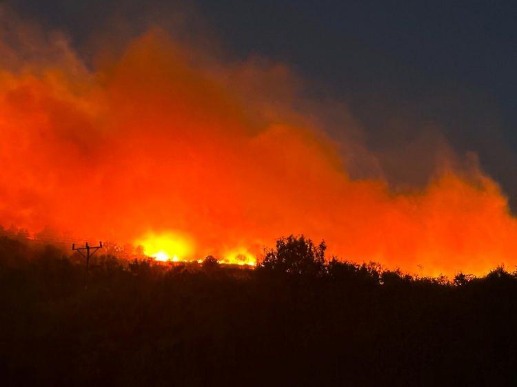 <p>Diyarbakır’ın Ergani ilçesinde sabaha karşı çıkan orman yangını, rüzgarın da etkisiyle geniş bir alana yayıldı. </p>