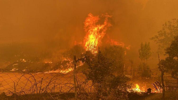 <p>Merkeze bağlı Kayadere köyü yakınındaki ormanlık alanda henüz bilinmeyen nedenle yangın çıktı. Çıkan orman <a href=