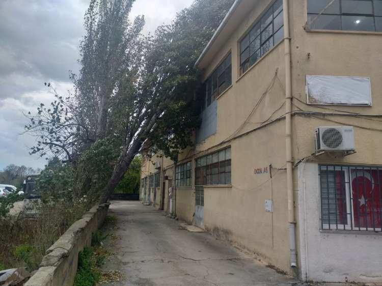 <p>Kent genelinde dün akşam saatlerinde etkisini arttıran fırtına nedeniyle Maltepe Yalı Mahallesi Mareşal Fevzi Çakmak Caddesi'nde bulunan 2 katlı bir iş yerinin çatısına ağaç devrildi.</p>