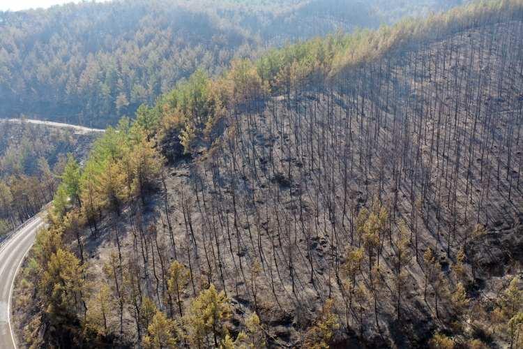 <p>Öte yandan yangınlarda zarar gören alanlar drone ile görüntülendi.</p>