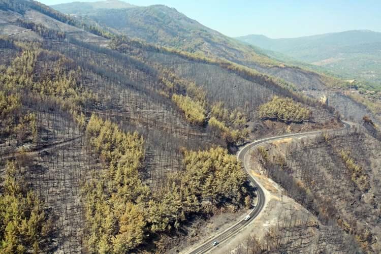 <p>Yangından etkilenen bir çiftlikte bulunan 10'a yakın küçükbaş, 100'den fazla kümes hayvanı yanarak öldü. </p><p> </p>