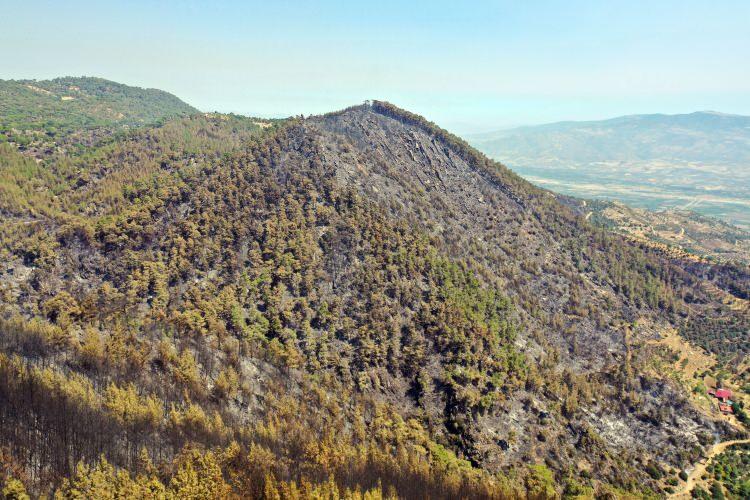 <p>Bozdoğan ilçesi Alhisar Mahallesi yakınlarındaki ormanda, önceki gün saat 16.30 sıralarında orman yangını çıktı.</p><p> </p>