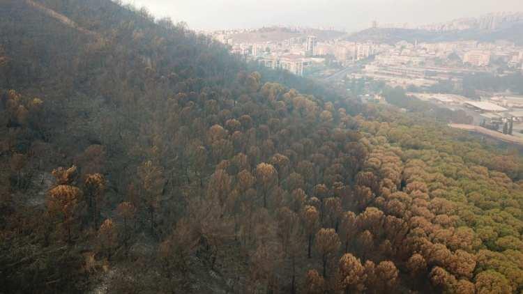 <p>Türkiye yangın felaketiyle mücadele ediyor. </p>