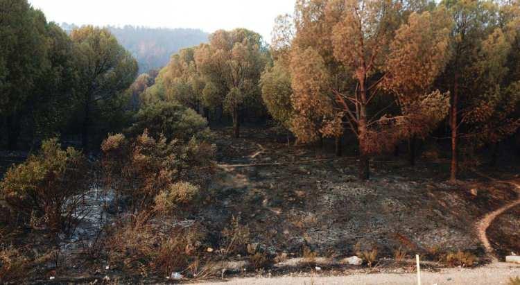 <p>3 gündür devam eden yangında yerleşim yerleri de etkilenirken; 4 uçak, 14 helikopter, 70 kara aracı ve 445 personel alevlere müdahale ediyor.</p>