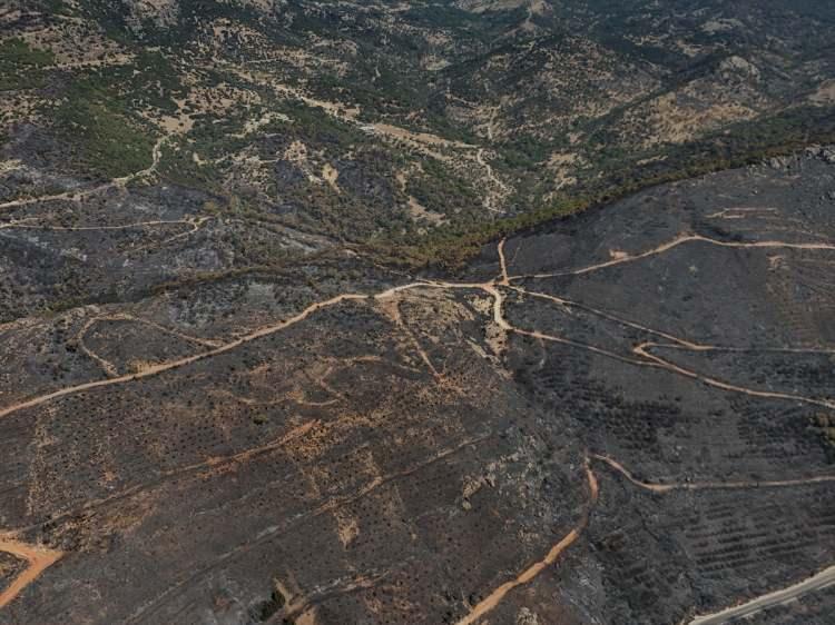 <p>Alevlerin ulaştığı Karayakup Mahallesi tamamen yandı. Bölgedeki 1440 vatandaş ile büyükbaş ve küçükbaş hayvanlar tahliye edildi.</p><p> </p>