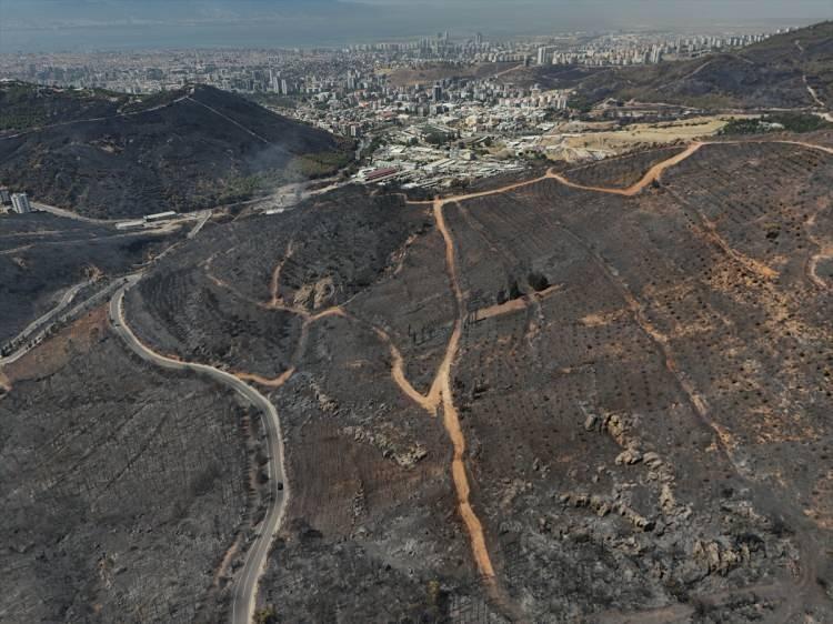 <p>İzmir, Aydın, Manisa ve Uşak'ta ormanların yanı sıra kiminin yıllarca emek verdiği zeytin ve incir ağaçları kiminin de evi ya da mahsulü yandı. Bazı hayvanların da telef olduğu yangınlarda 142 yapı zarar gördü.</p><p> </p>