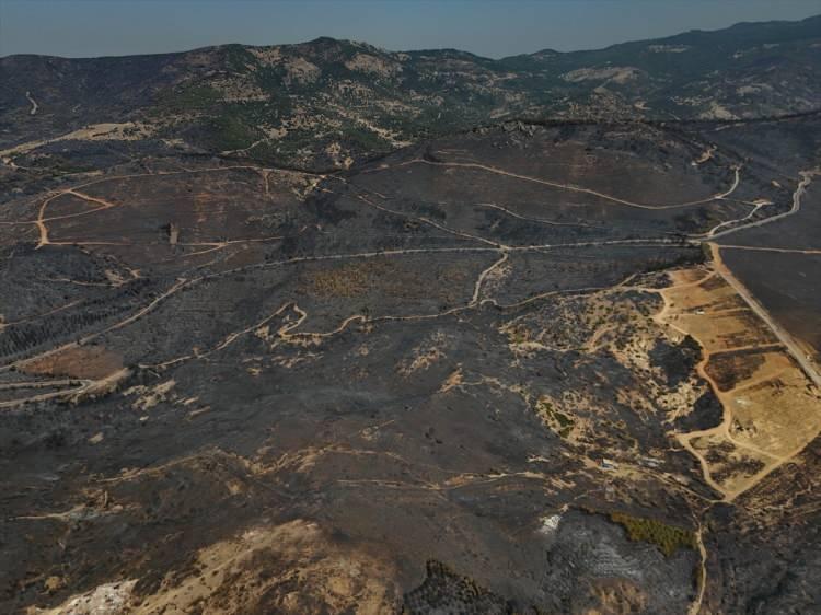 <p>Manisa'nın Gördes ilçesinde 14 Ağustos'ta başlayan, Salihli ve Gölmarmara ilçelerine ulaşan orman yangını ise 5 gün sürdü. Arazinin sarp ve engebeli olması, ekiplerin mücadelesini güçleştirdi. Geniş bir alanda etkili olan yangında kızılçam ormanının yanı sıra zeytin, badem, ceviz ve kiraz gibi meyve bahçeleri de zarar gördü. Kimi vatandaşlar emek verdiği ağaçlarının yanışını gözyaşlarıyla izledi.</p><p> </p>