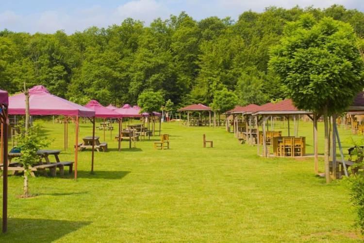 <p><span style="color:#B22222"><strong>Erzurum ve Samsun</strong>: </span></p>
<p> </p>
<p>Bu illerde de kene vakaları artış göstermektedir.</p>