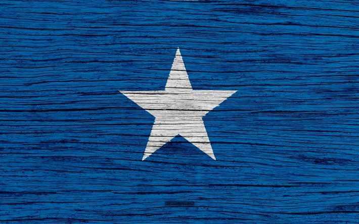 <p><span style="color:#B22222"><strong>SOMALİ</strong></span></p>

