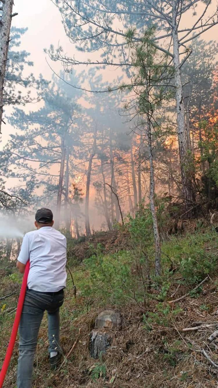 <p>Valilikten yapılan yazılı açıklamada, yangına toplam 136 personel, 30 araç ve 9 helikopterin müdahale ettiği belirtilerek, bölgeye ilave araç ve personel sevkinin devam ettiği kaydedildi.</p><p>Yangında herhangi bir can kaybının yaşanmadığı aktarıldı.</p><p>Öte yandan, Gerede ilçesine bağlı Ağızören mevkisinde ormanlık alanda çıkan yangın, ekipler tarafından büyümeden söndürüldü.</p>